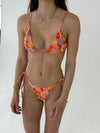 Cassia bikini
