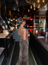 Columbine maxi dress - leopard