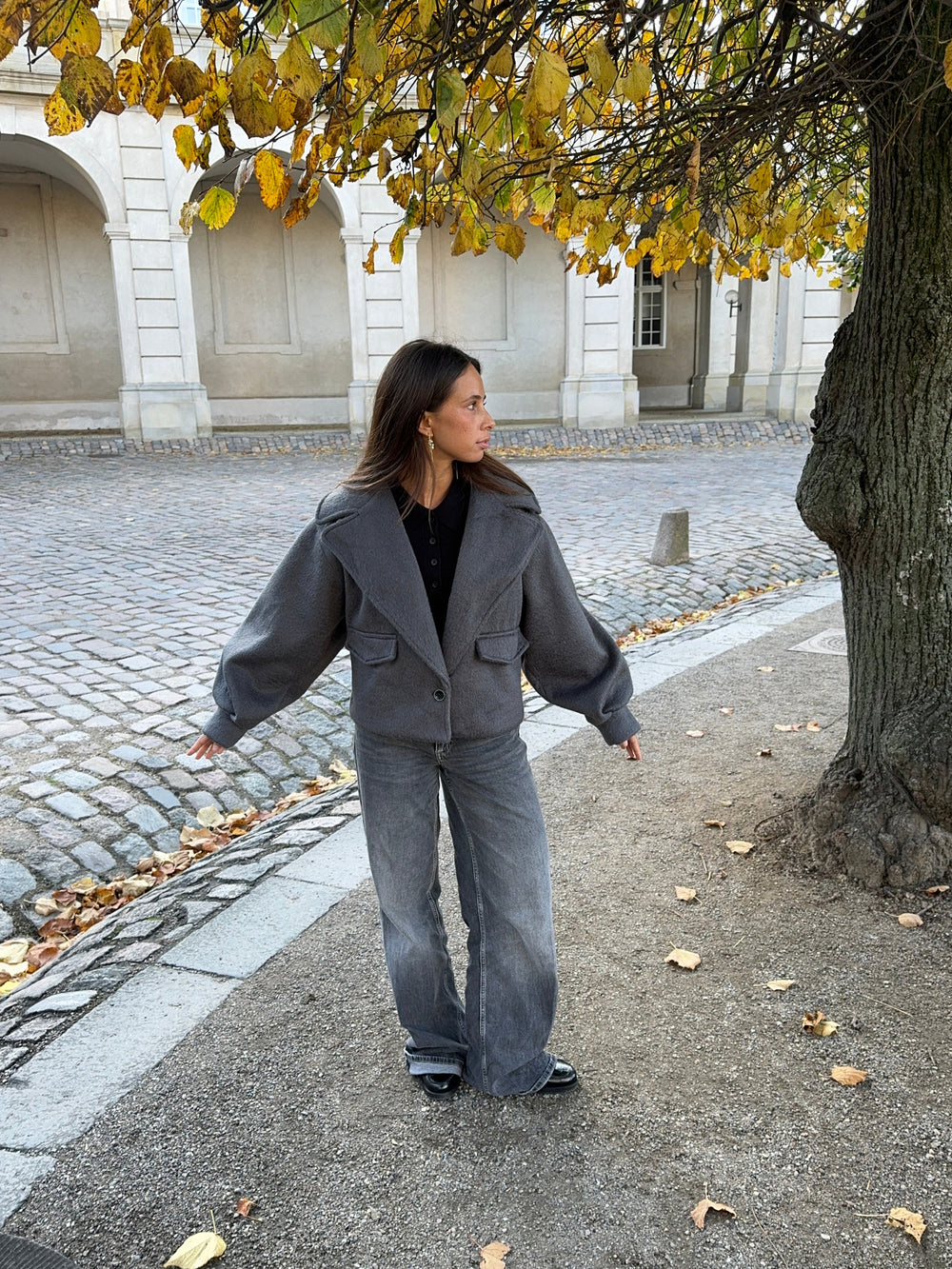 Holly jacket - Grey