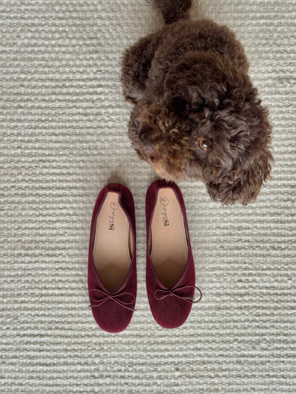 Cossetta ballerina with detail - Burgundy
