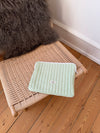 Honey computer sleeve - Mint green