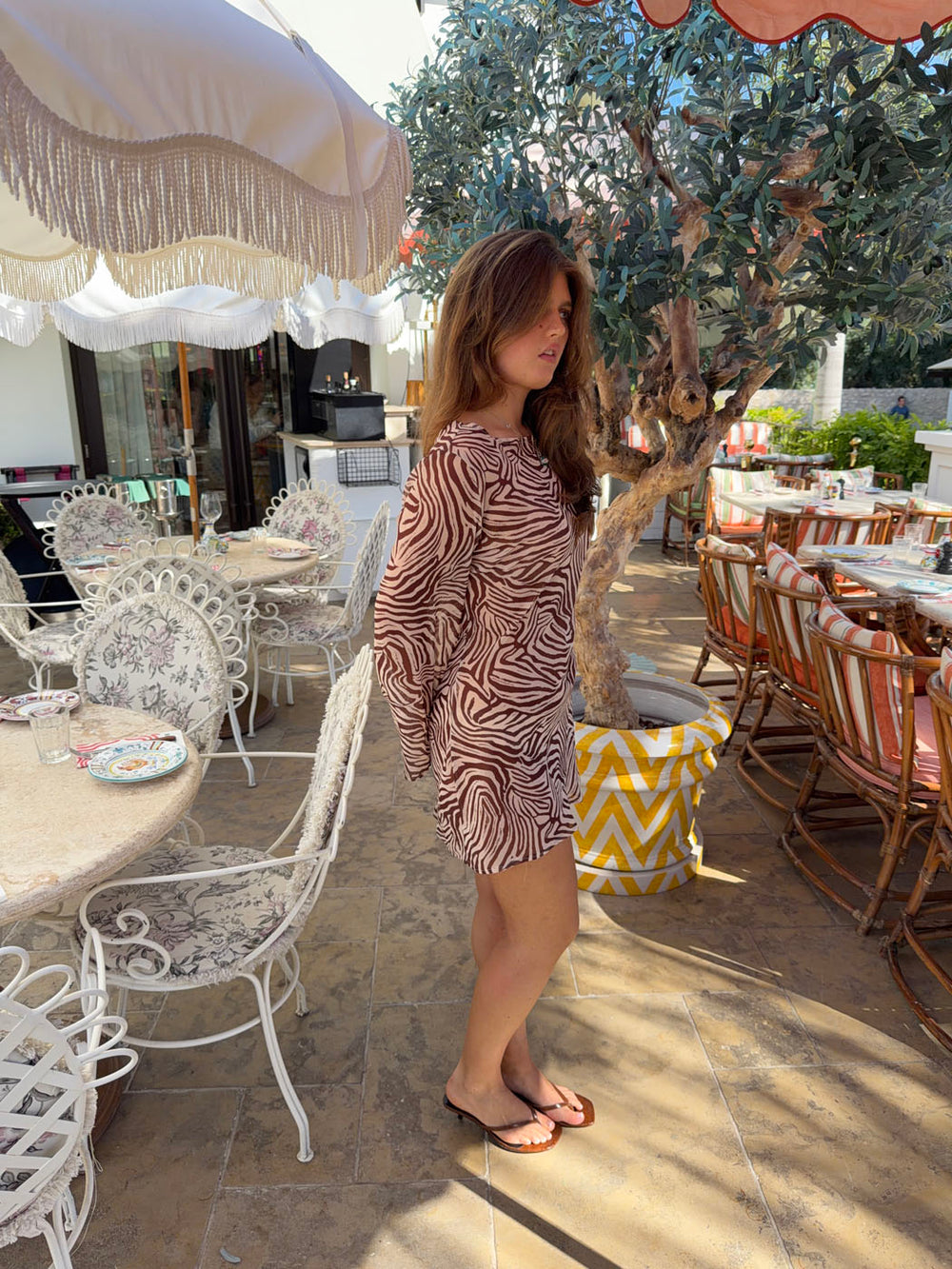 Safari dress with zebra print - Off white/brown