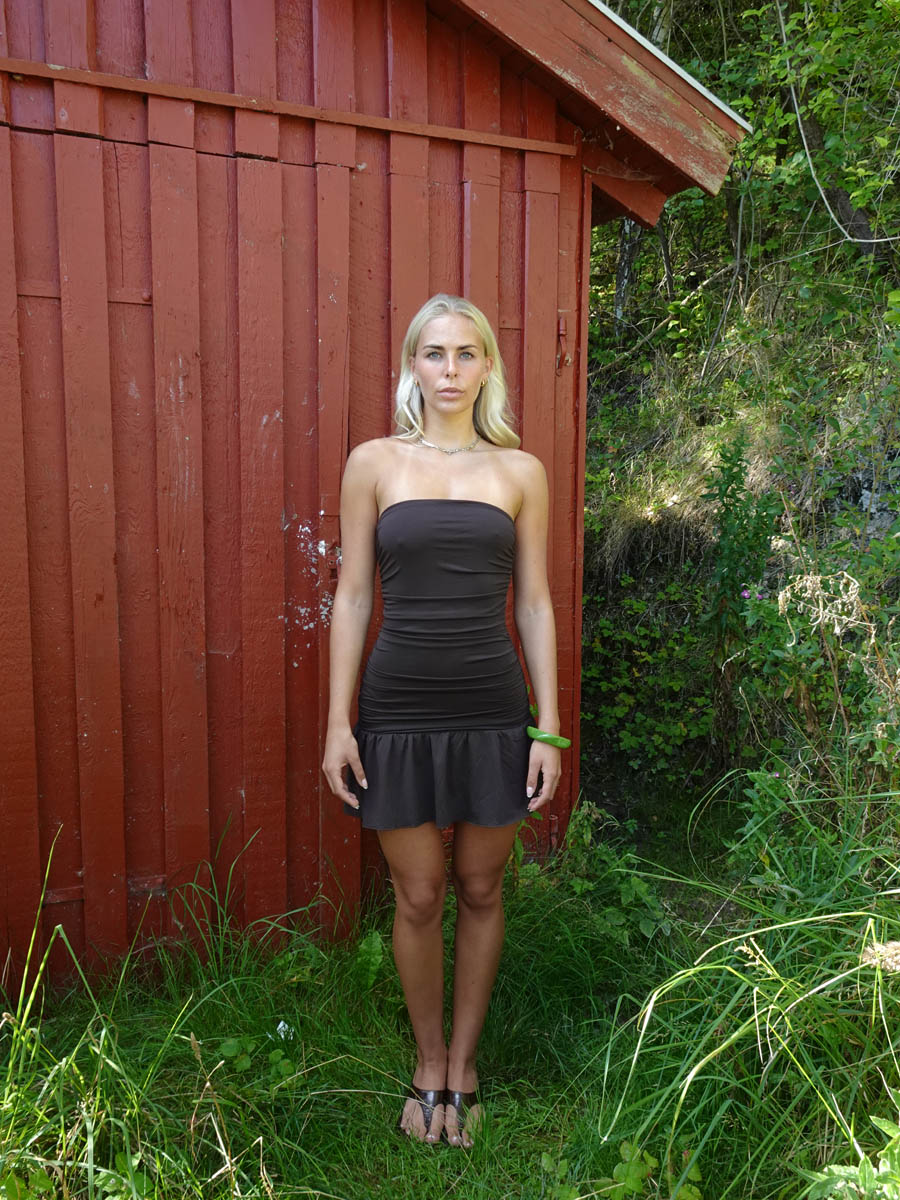 Lollie mini dress - Brown