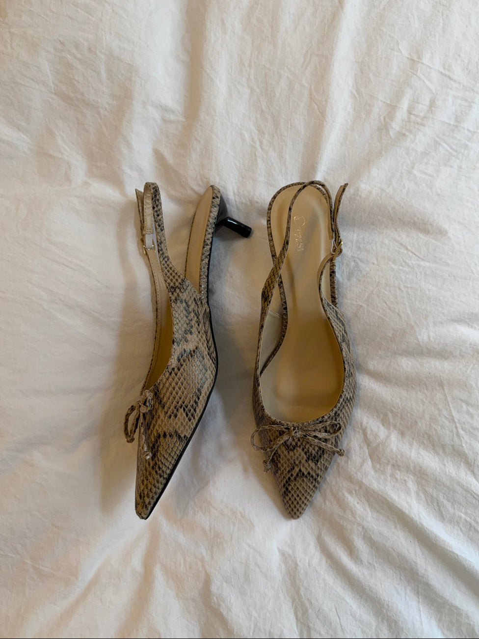 Mojsa mules with snake print – Beige