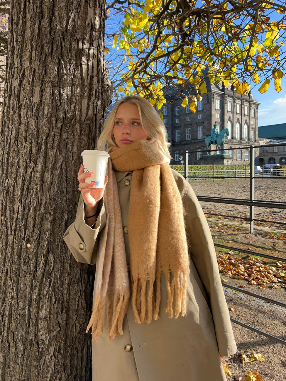 Gale scarf - Light brown