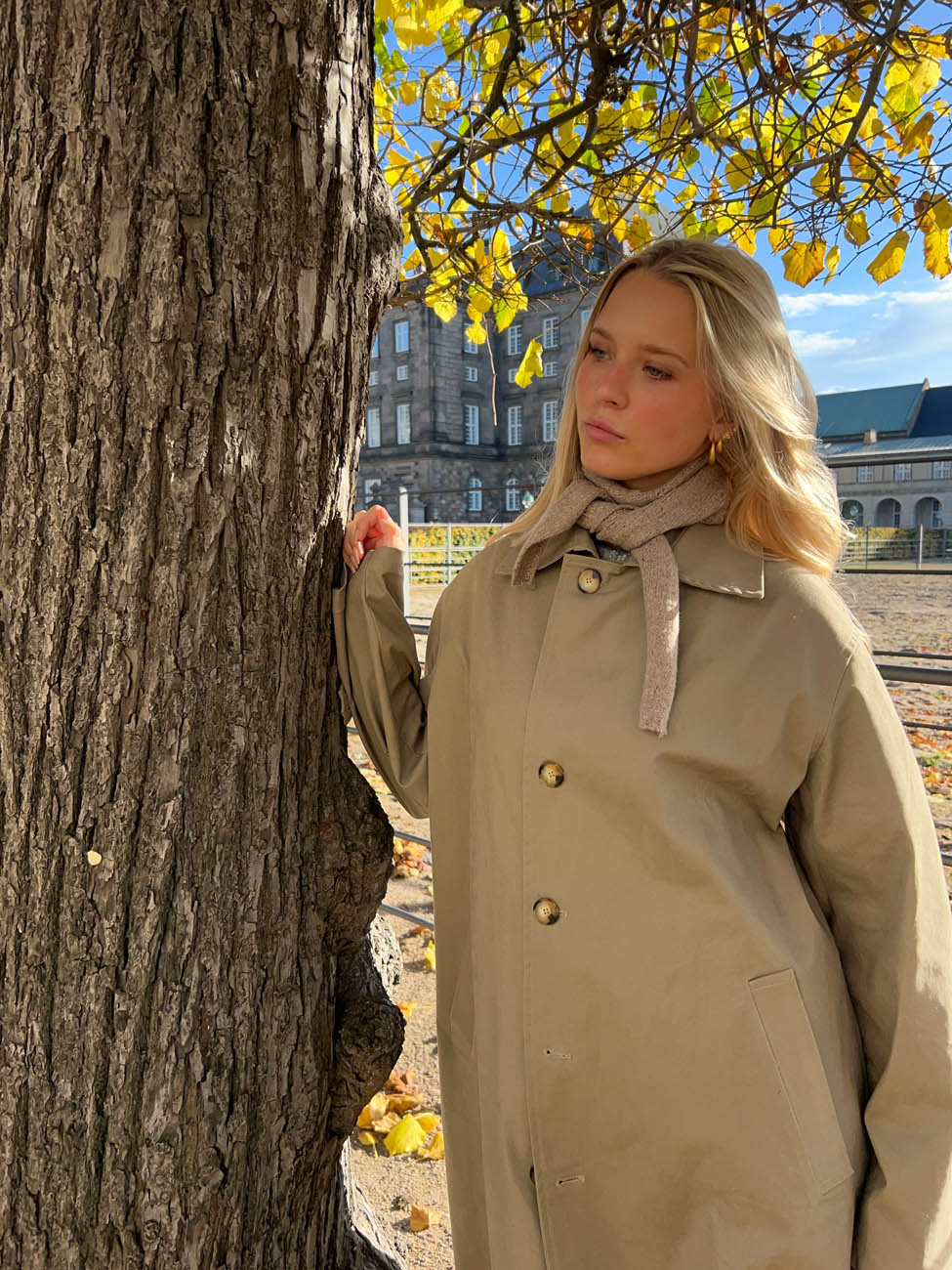 Blakey scarf - Taupe